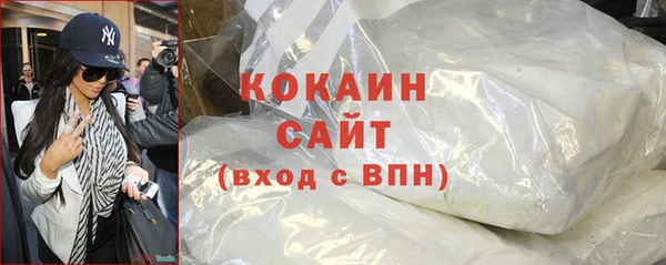 шишки Алзамай