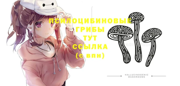 эйфоретик Алексеевка