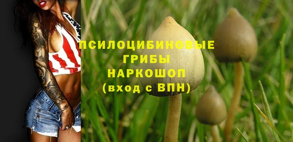 шишки Алзамай