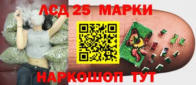 скорость Новодвинск