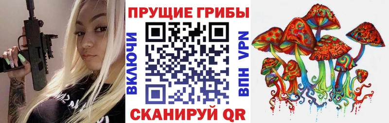 где купить наркоту  Сосновый Бор  Псилоцибиновые грибы мухоморы 